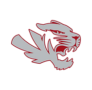 Fishers High School Basketball